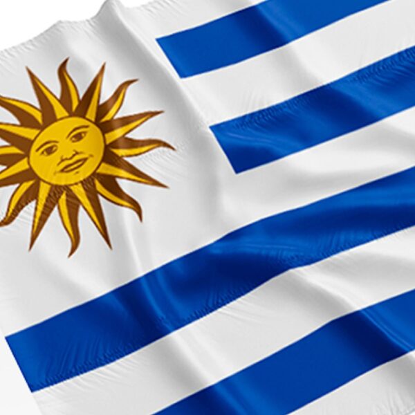 BANDERA URUGUAY 1.5M X 0.90M (JTHOG085)