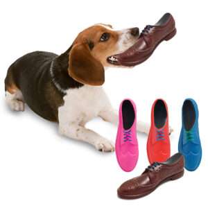 JUGUETE PERRO ZAPATO (JTBAZ166) (JTHOG897)