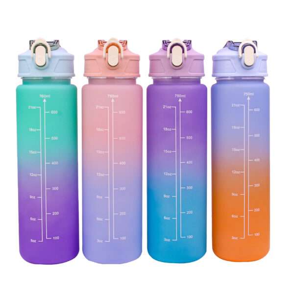 BOTELLA DE AGUA MOTIVACIONAL 750ML C/ INDICADOR ML Y OZ (JTHOG861)
