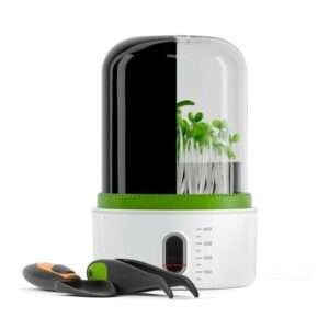 ESTACION DE CRECIMIENTO DE PLANTAS PLANT GROUTH STATION (JTBABYQJ6071)