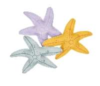 JUGUETES DE BUCEO ESTRELLAS DE MAR (JTBABYSWIM041)