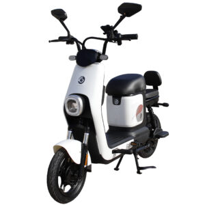 MOTO ELECTRICA GOLDTECH 500W DOBLE ASIENTO BLANCO (JTMOT001BLA)