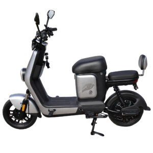 MOTO ELECTRICA GOLDTECH 1000W DOBLE ASIENTO GRIS (JTMOT001NEG)