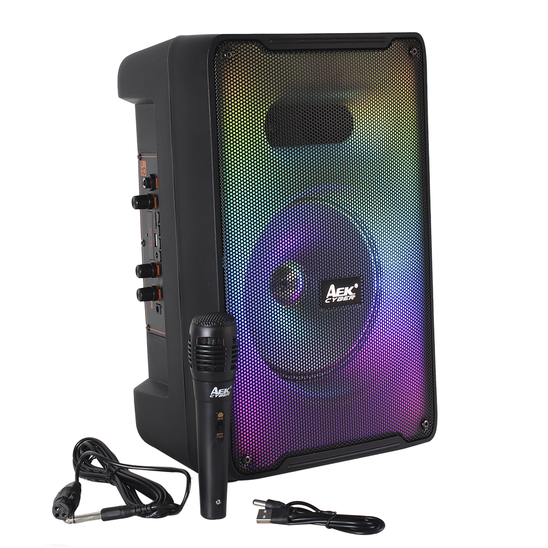 PARLANTE PORTABLE AEK 8" S-10819 (JTPAR960) - Image 3